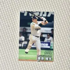 プロ野球チップス2025 第二弾 ソフトバンクホークス 栗原陵矢