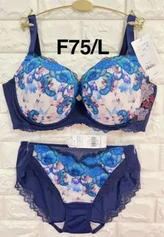 トリンプ　レッドレーベル0120ロココ・フローラル　上下セット　ブルーF75/L