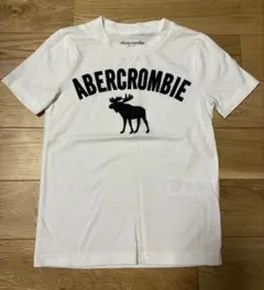 《未使用 美品》アバクロ キッズ 半袖Tシャツ 5-6y 110〜120