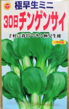 はなめい様 リクエスト 2点 まとめ商品