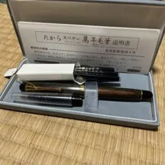 Item thumbnail for item 4ae92693-9fa4-4055-bbb9-8d95880014c5