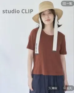 【studio CLIP】スラブテレココンパクト, ブラウン(Lサイズ)のサムネイル