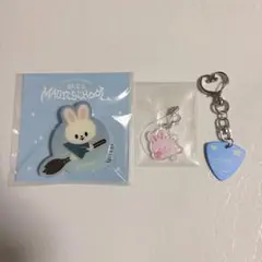 straykids スキズ リノ ペンミ 入場特典 リービット タオル - メルカリ