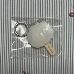 miniteen ice cream キーリング ウジのサムネイル
