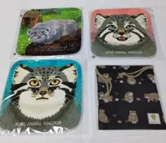 Item thumbnail for item 89047ba1-df50-4d32-a290-e8ab88c73e8c