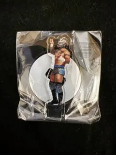 2026年最新】プロレスリングノア アクリルスタンドの人気アイテム