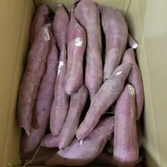 サツマイモ 茨城県産 紅あずま箱含む5キロ