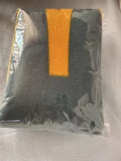 Item thumbnail for item 913d17af-285b-4b5e-9daf-d4276e2bd5b7