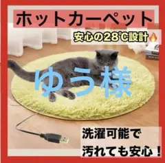 カーペット ペット用 　ホットカーペット 電気毛布 犬 猫 電熱ヒーター