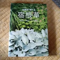 北海道で育てる宿根草　北海道新聞社
