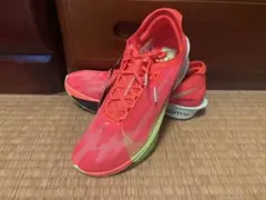 Nike ストリークフライ2(新品箱無し)
