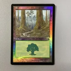 MTG MMQ 森 348 日本語 FOIL 1枚 - メルカリ