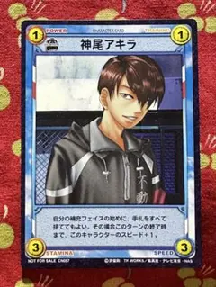 テニスの王子様 不動峰 レアカード11枚含む トレーディングカード35枚