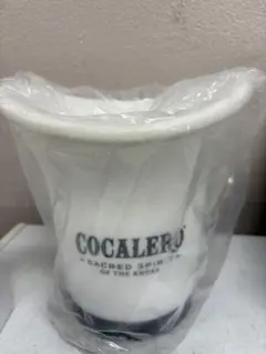 Item thumbnail for item 788c3f9c-eecc-4d71-9e72-b29f8155df89