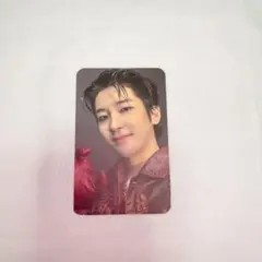 seventeen ウォヌ トレカ