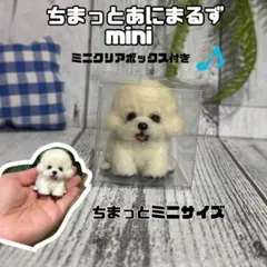 ちまっとあにまるず　ミニ　クリアボックス付き　うちの子オーダー　羊毛フェルト ちまっとあにまるず ミニ クリアボックス付き うちの子オーダー 羊毛