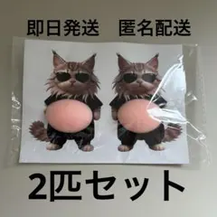 ねこ サングラス お腹ぷにぷにシール ステッカー ぷっくりお腹 おなか