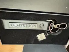 【非売品】アメリカンエキスプレス 天然大理石万華鏡 非売品】アメリカンエキスプレス 天然大理石万華鏡 【公式通販】 AMEX