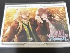 カラマリ　カラーマリス　白石景之　ブロマイド