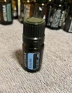 2025年最新】doTERRA イージーエアの人気アイテム - メルカリ