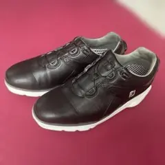 Item thumbnail for item 4f5f24ac-86b3-4c9a-baa1-b8d2496b1f38