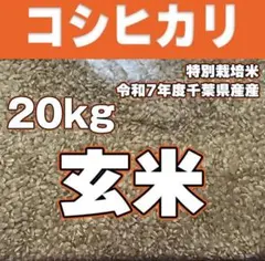 コシヒカリ 玄米 20kg 特別栽培米 令和7年度産 千葉県産 - メルカリ