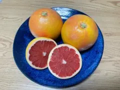 2026年最新】グレープフルーツの人気アイテム - メルカリ