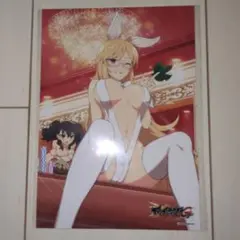 閃乱カグラ NewWave Gバースト 第4弾 銀塩ブロマイド【九魅】