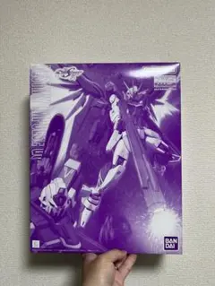 ガンプラ rg デスティニーガンダムチタニウムフィニッシュ 未組立 内袋
