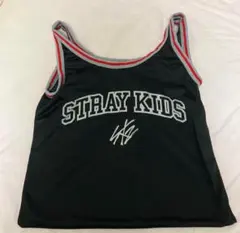 Stray kids dominATE アプグレグッズ　メッシュバッグ