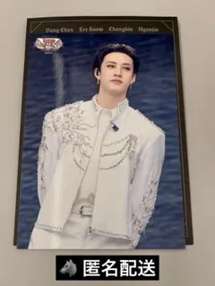 【匿名配送】Stray Kids スキズ　VR ラントレ　バンチャン