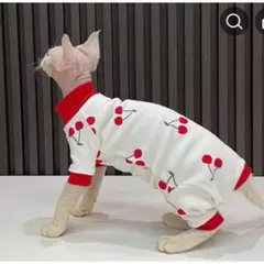 Item thumbnail for item 58fc1266-2aa4-4d20-b8a0-d2fa42fde2d8