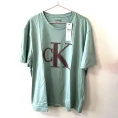 日本未発売　カルバンクライン ロゴ Tシャツ M Calvin klein
