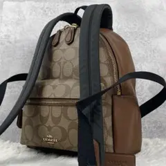 美品 コーチ PVC リュック シグネチャー ファスナー ロゴ型押し ブラウン