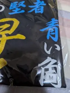 2025年最新】早乙女光 tシャツの人気アイテム - メルカリ