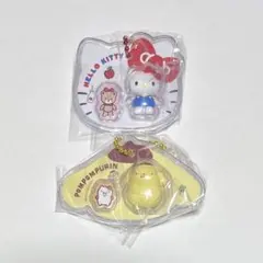 サンリオ パッケージチャーム