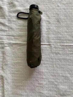 Item thumbnail for item c063f240-802d-46ed-af72-256f649dc0f8