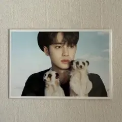 2024 D-FESTA SEVENTEEN ミンギュ ポストカード