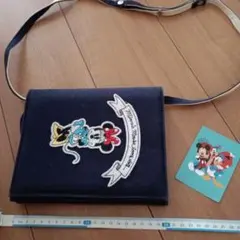 レディース　子ども　ミニーバッグ　ディズニー　おまけカード⑯のサムネイル