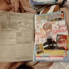 少年ジャンプ ワンピース コアラ フィギュア、カード 全員サービス応募用紙