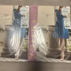 Item thumbnail for item 2af6a017-43dd-425f-9c27-5ad6f48e187a