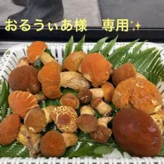 北海道産　アカヤマドリ1.4kgのサムネイル