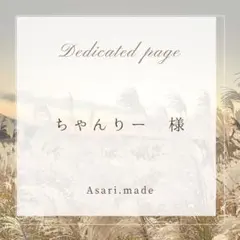 【ちゃんりー様専用ページ】