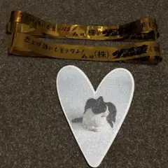 2026年最新】森東 株主総会の人気アイテム - メルカリ