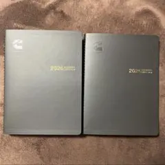 Item thumbnail for item 4017df5f-7f8b-48a5-8184-9ca2e5333893