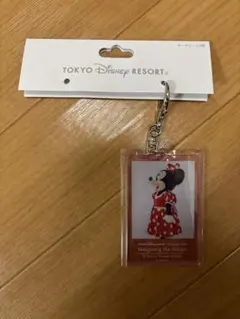 ディズニー イマジニングザマジック キーチェーン ミニー