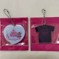 松田聖子 コンサートツアー2026 ランダムアクリルチャーム ピンク