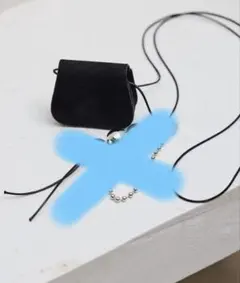 ear PAPILLONNER ショルダーミニポーチのみ