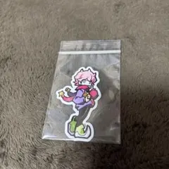 【即購入OK】CRAZY RACCOON ステッカーNY2026 ふらんしすこ