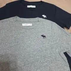 子供 半袖Tシャツ アバクロ 美品 2枚セット